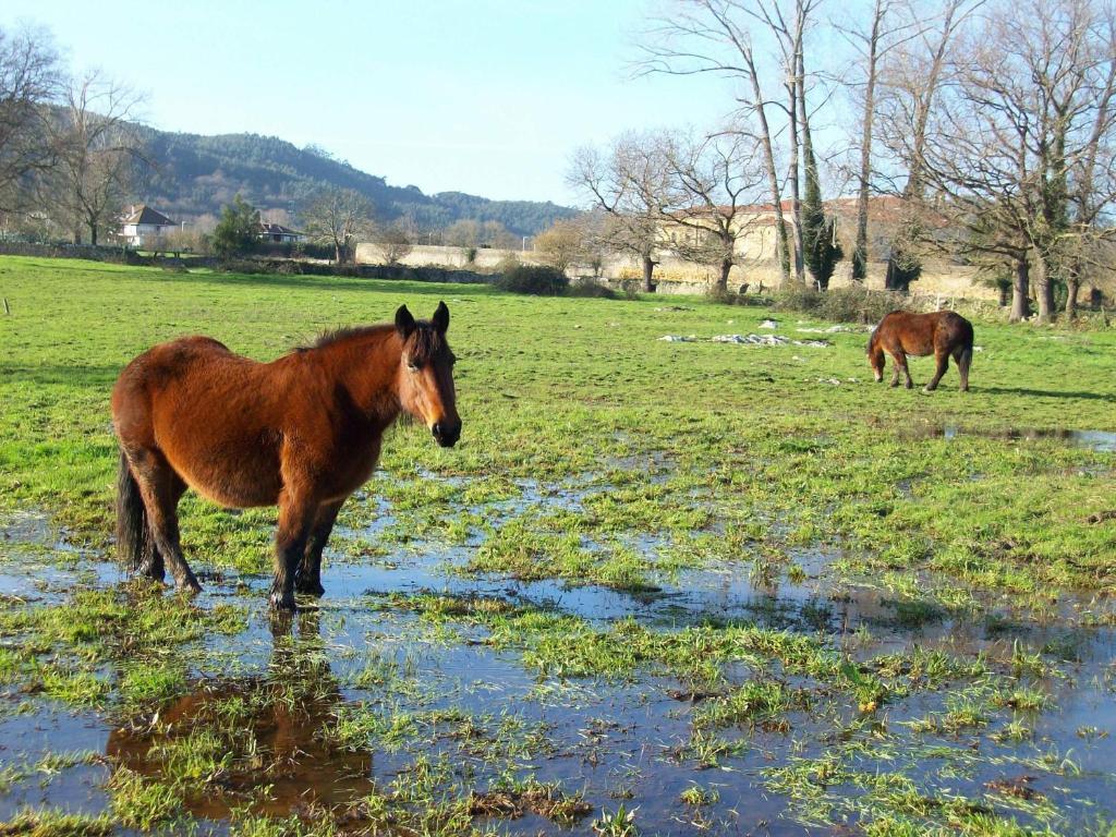 Hotel Rural En Escalante Las Solanas Dış mekan fotoğraf